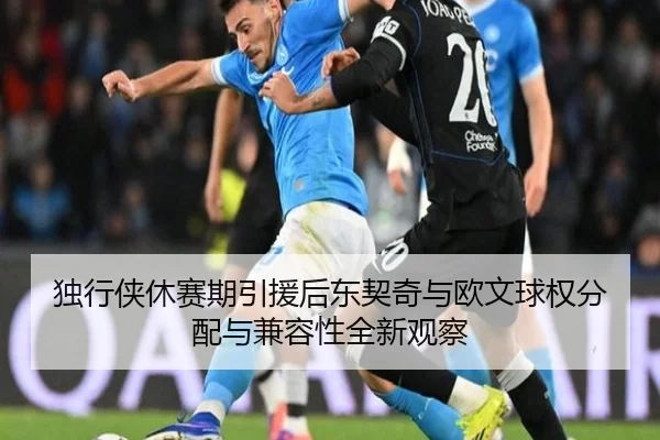独行侠休赛期引援后东契奇与欧文球权分配与兼容性全新观察